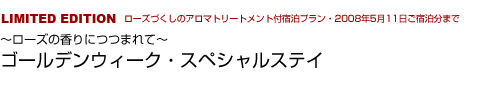 VALUE COLLECTION
ゴールデンウィークスペシャル〜ローズの香りにつつまれて